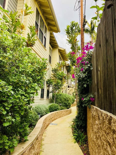 Oak_Cottage_back_walkway