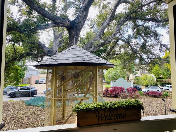 Oak_Cottage_front_porch_3