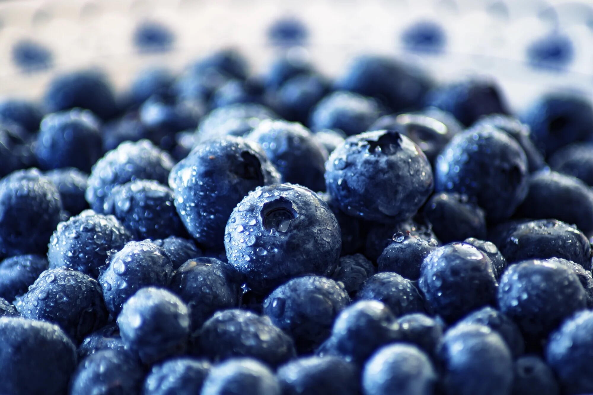 Diet for Brain Health: What Foods Support Memory in Seniors
